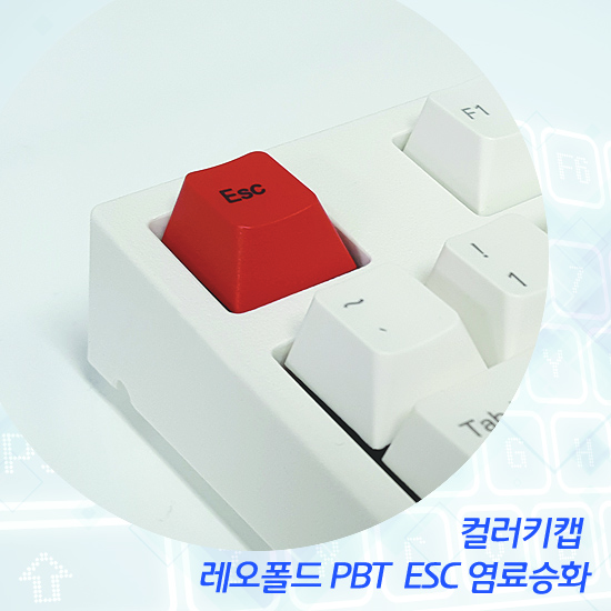 레오폴드 PBT  ESC 염료승화 컬러키캡 - 영문정각(상단)